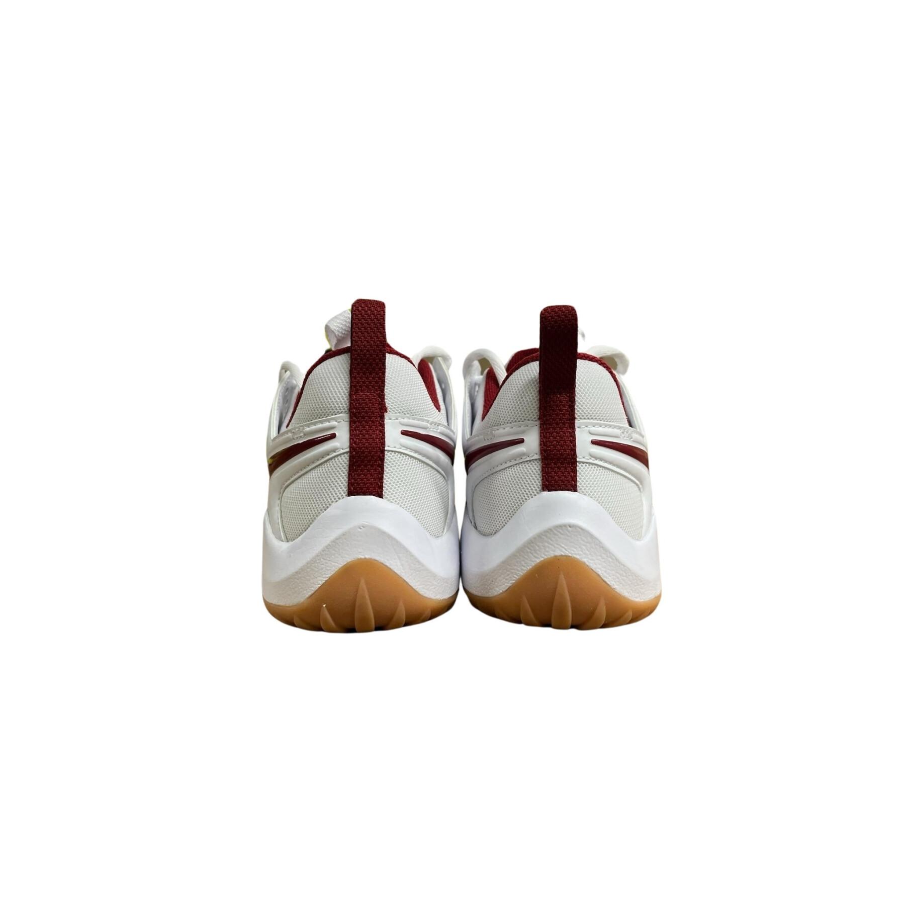 Calzado Indoor Nike Air Zoom HyperAce 2 SE