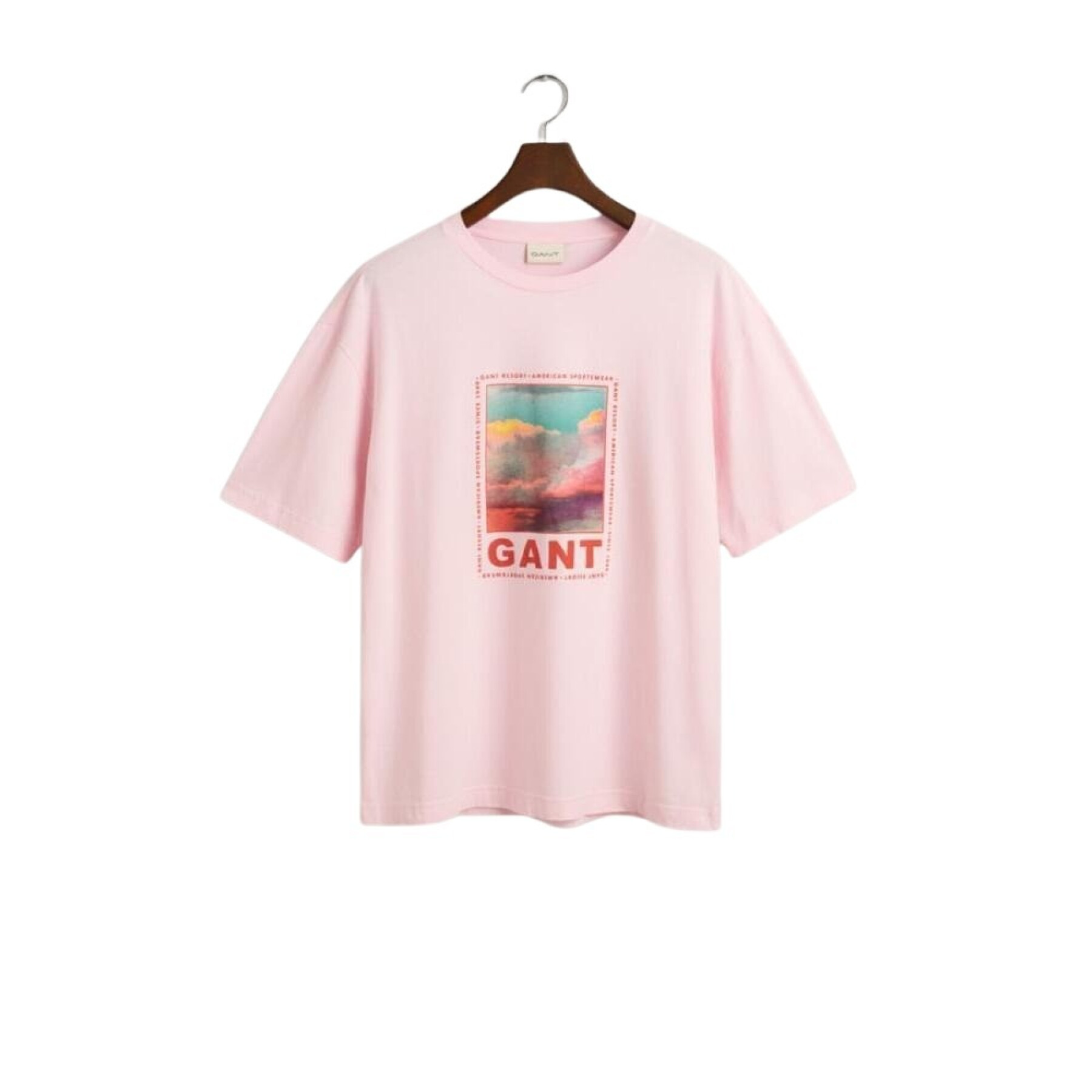 Camiseta Gant Washed Graphic