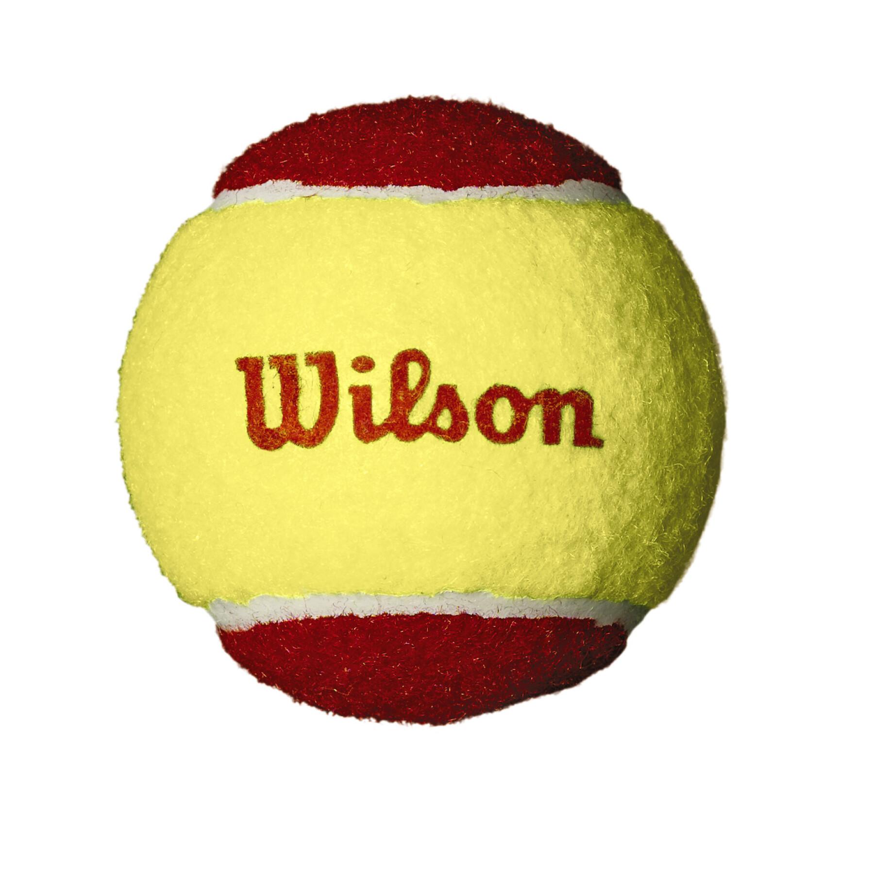 Juego de 36 pelotas de tenis Wilson Starter