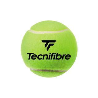 Juego de 4 pelotas de tenis Tecnifibre Club Pet