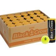 Caja de 24 tubos de 3 bolas Black Crown