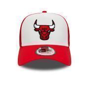 Gorra Trucker Chicago Bulls