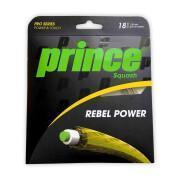 Hilos de calabaza Prince Rebel Power