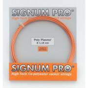 Cuerdas de tenis Signum Pro Poly Plasma 12 m